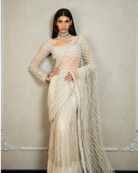 Gold Tissue Saree